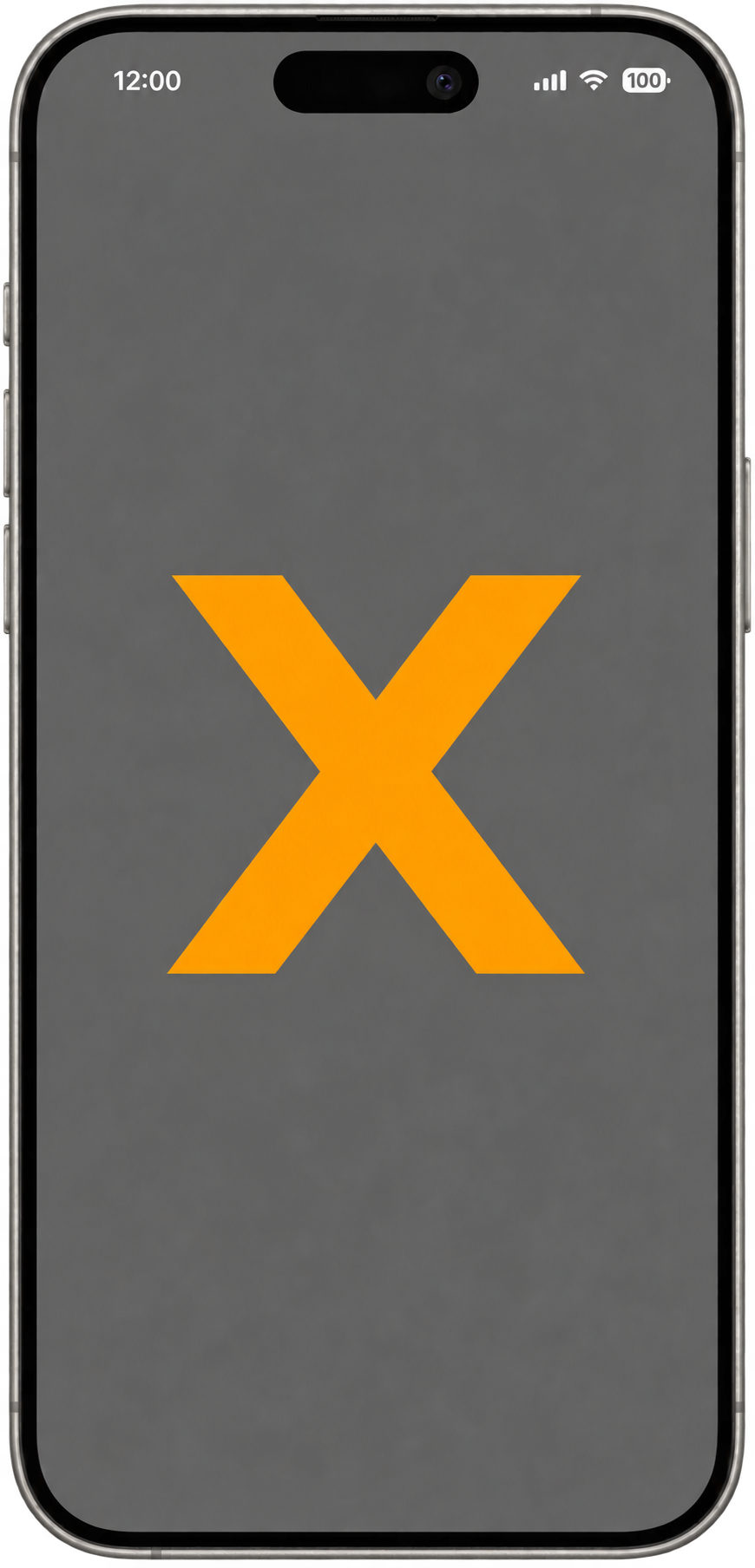 Silver phone displaying the orange FLEXIPASS X